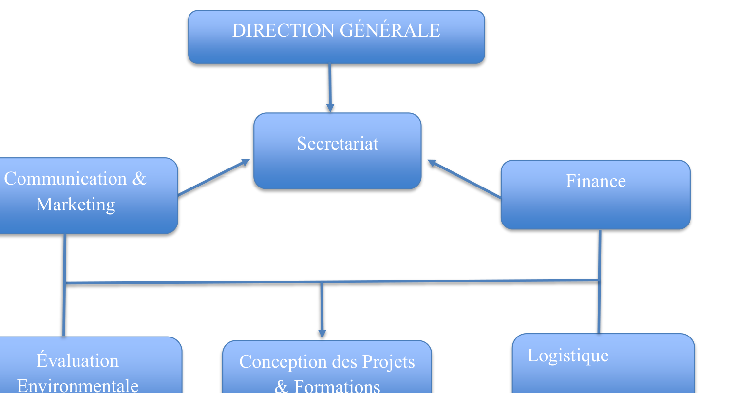 Organigramme